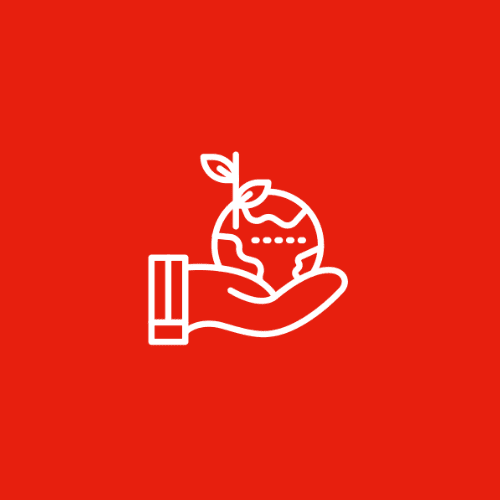Environmental Responsibility
